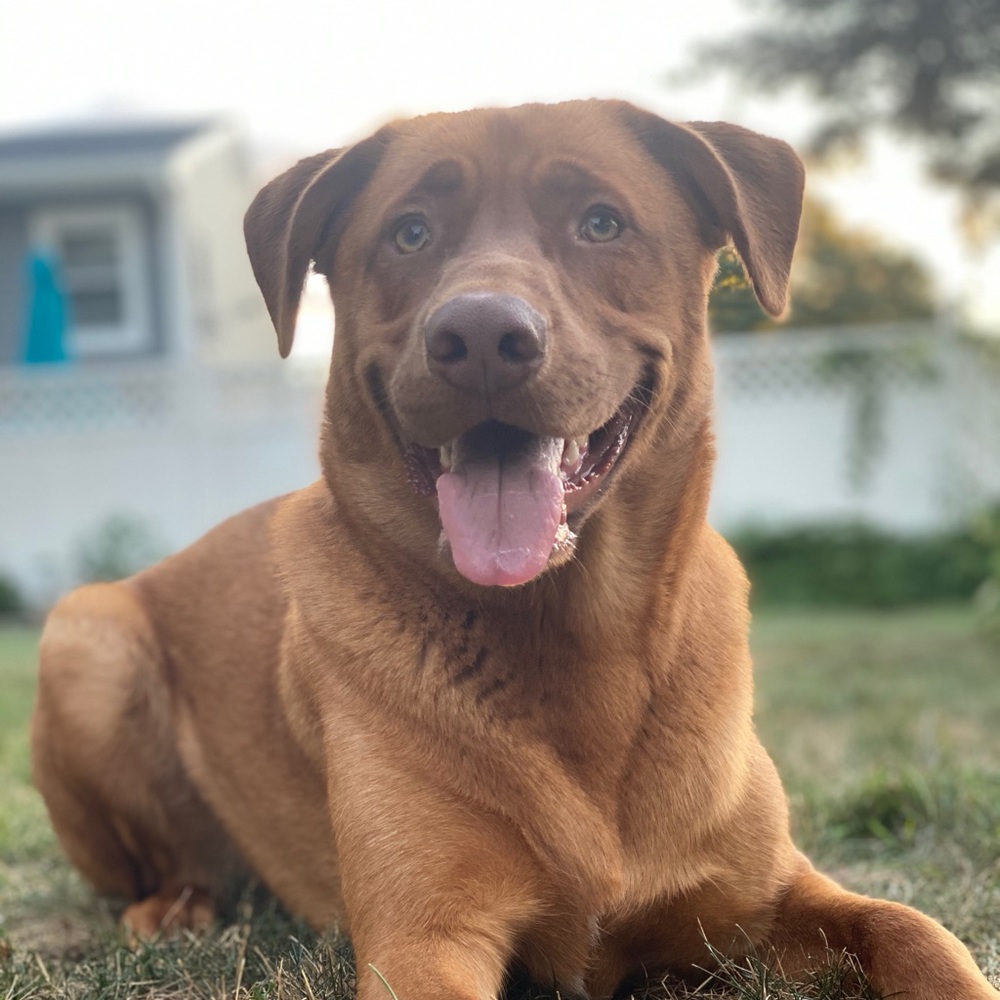 Meet your Posher, Aaron